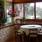 호텔 Internazionale 안코나