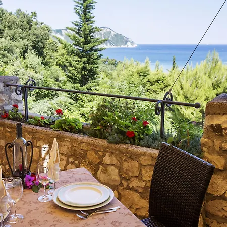 Internazionale アンコーナ