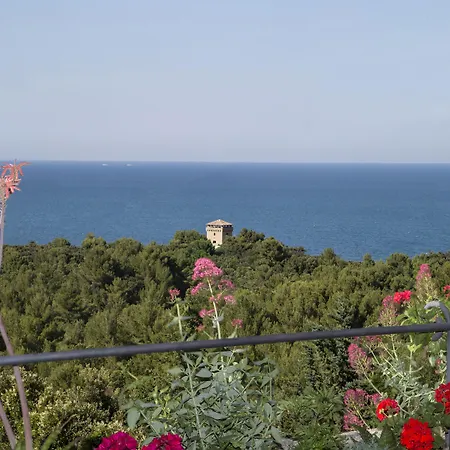 فندق Internazionale 3*