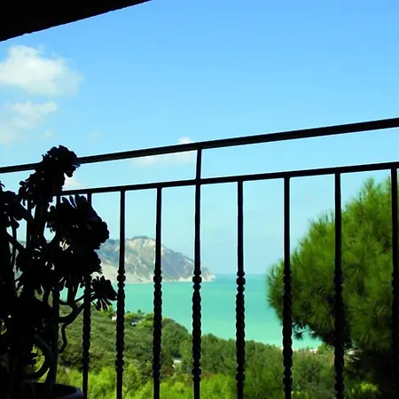 Internazionale 3*